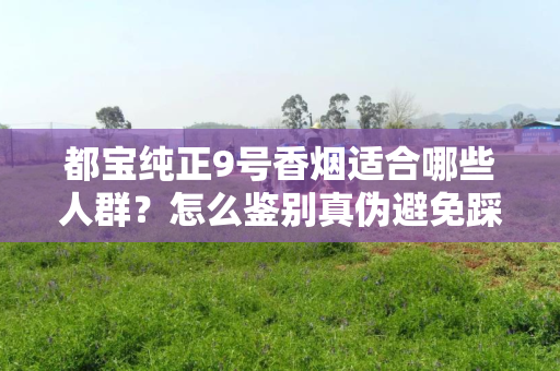都宝纯正9号香烟适合哪些人群？怎么鉴别真伪避免踩坑？